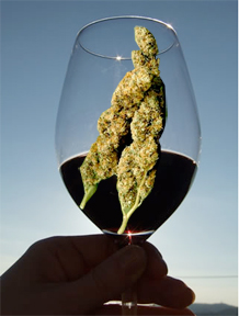 Bud-and-wine Bud-and-wine