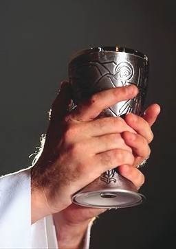 Cup