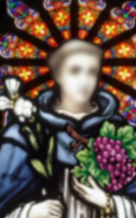 St Vini 2