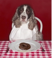 Dogplate