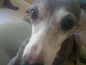 Emme