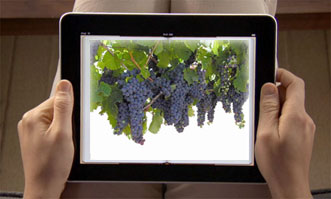 Ipadgrapes