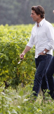 Vineyard purchase