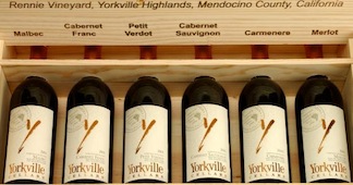 Yorkville cellars