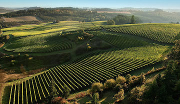Oregon1