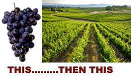 Varietal-then-Terroir