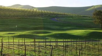 chardonnaygc-1