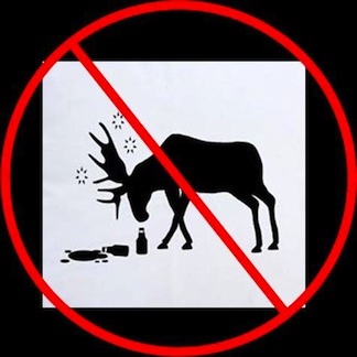 moosedrilnking