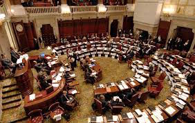 nysenate